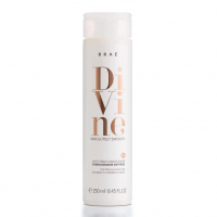 BRAÉ Divine Anti-Frizz Conditioner — Кондиционер для сохранения гладкости волос, 250 мл. BRAÉ Divine Anti-Frizz Conditioner — Кондиционер для сохранения гладкости волос, 250 мл.