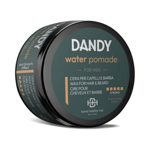 LISAP Dandy water pomade глянцевий віск для волосся та бороди, 100 ml
