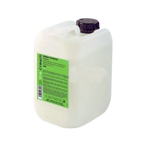 Inebrya Шампунь против выпадения волос Inebrya Energy Shampoo, 10 л 8008277263847