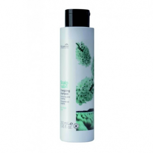 Nouvelle Scalp Habit Energizing Shampoo Шампунь для роста волос с куркумой лонга, 250 ml