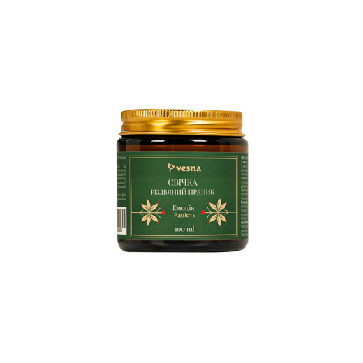 Vesna Свеча из соевого воска "Рождественский пряник", 100 ml