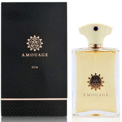 Парфюмированная вода Amouage Dia Pour Homme для мужчин - edp 100 ml 1.22912