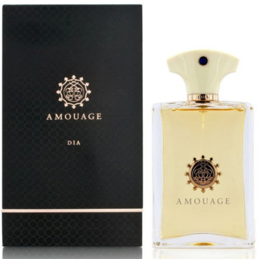 Парфюмированная вода Amouage Dia Pour Homme для мужчин - edp 100 ml