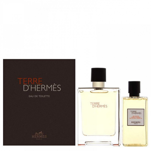 Набор Hermes Terre d'Hermes Eau de Toilette для мужчин - set (edt 100 ml + sh/g 80 ml) 1.25556