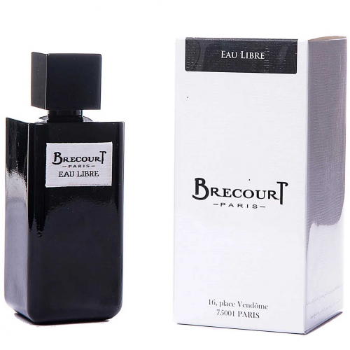 Парфюмированная вода Brecourt Eau Libre для мужчин - edp 124 ml 1.55814