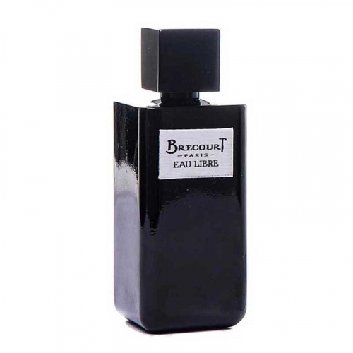 Парфюмированная вода Brecourt Eau Libre для мужчин - edp 100 ml tester 1.55852
