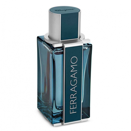 Парфюмированная вода Salvatore Ferragamo Ferragamo Intense Leather для мужчин - edp 100 ml tester