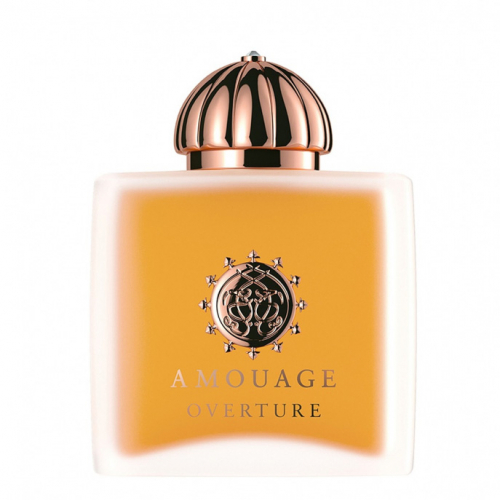 Парфюмированная вода Amouage Overture Women для женщин - edp 100 ml tester 1.66410